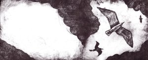 Il racconto del gabbiano