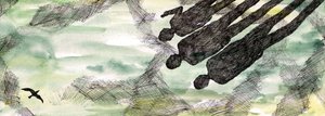 La storia dei gabbiani da Charlotte Orr