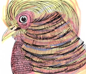 Uccello tropicale, 2018 da Charlotte Orr