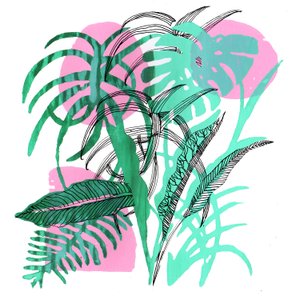 Piante tropicali, 2018 da Charlotte Orr