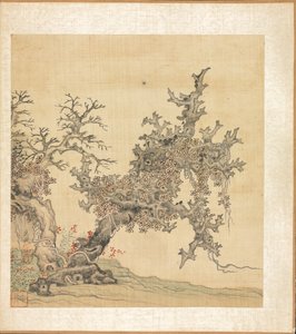 Dipinti dopo antichi maestri: Un albero antico da Chen Hongshou