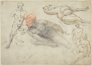 Studi di nudi maschili e femminili, un satiro e un cammello (recto); Statua di Marco Aurelio (verso) da Cherubino Alberti