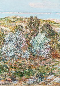 Visione primaverile