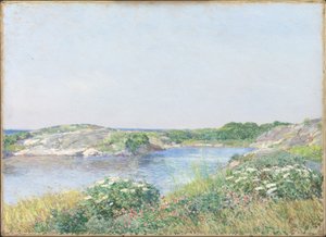 Il piccolo stagno, Appledore