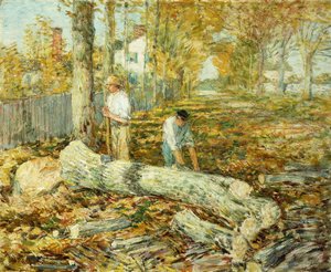 Taglialegna (Il vecchio olmo)