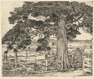 Grande Cedro, Wainscott, L. I., 1929