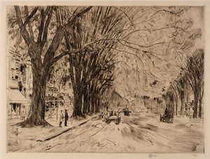 Elmi di Easthampton a maggio