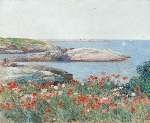 Papaveri, Isole di Shoals