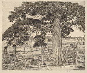  da Childe Hassam