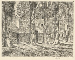 Olmi del villaggio, 1923 da Childe Hassam