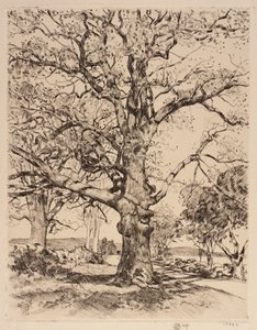 Wayside Inn Oaks in primavera da Childe Hassam