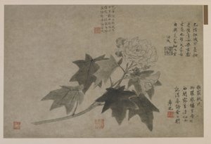 Un ramo di peonia legnosa, forse dinastia Qing
