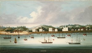 Vista di Singapore dalle strade con navi americane, francesi e britanniche, c.1850 da Chinese School