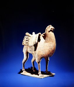 Cammello, metà a fine 6° secolo, dinastia Wei settentrionale (386-534)-Qi settentrionale (550-77) da Chinese School