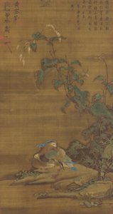 Anatre mandarino sotto il poligono, dinastia Ming o Qing, 15°-18° secolo