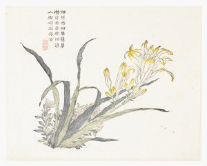 Giardino del Seme di Senape da Chinese School
