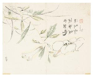 Giardino del Seme di Senape da Chinese School
