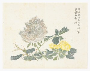 Giardino del seme di senape da Chinese School