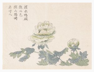 Giardino del seme di senape da Chinese School