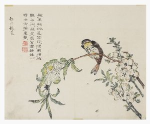 Giardino del seme di senape da Chinese School