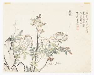 Giardino del seme di senape da Chinese School