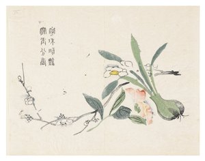 Giardino del seme di senape da Chinese School