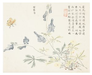 Giardino del seme di senape da Chinese School