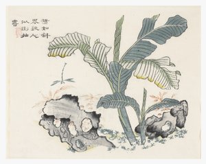 Giardino del seme di senape da Chinese School