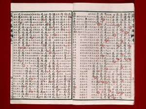 Pagina da un libro di poesie di Chuang-Tzu da Chinese School