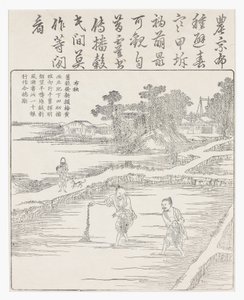 Semina del riso in un semenzaio, XVIII secolo da Chinese School