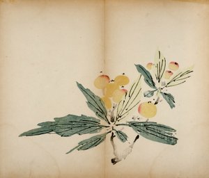 Stampe dello Studio dei Dieci Bambù, 1643 da Chinese School