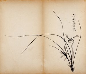 Stampe dello Studio dei Dieci Bambù, 1643 da Chinese School