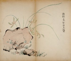 Stampe dello Studio dei Dieci Bambù, 1643 da Chinese School