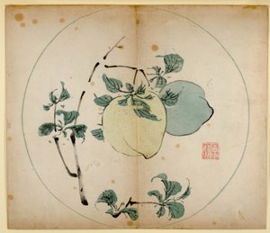 Stampe dello Studio dei Dieci Bambù, 1643 da Chinese School