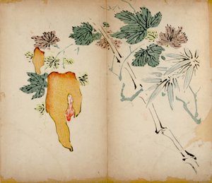 Stampe dello Studio dei Dieci Bambù, 1643 da Chinese School