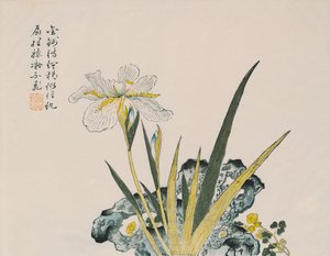 Il giardino grande come un granello di senape, XVII-XVIII secolo