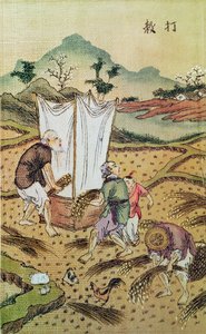 La storia del riso da Chinese School