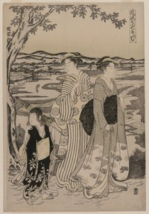 Omu il Pappagallo (dalla serie Sette Episodi Eleganti della Vita della Poetessa Ono no Komachi) da Chobunsai Eishi