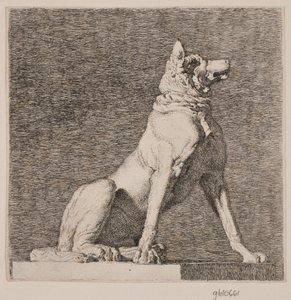 Un cane seduto dopo un