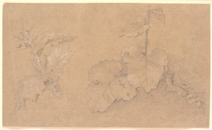 Studi di piante da Christen Købke