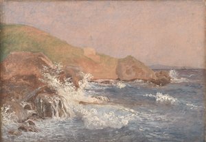 Mare agitato su una costa rocciosa, Capri