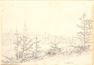 Chiesa di San Canuto a Odense vista da Munkemose
