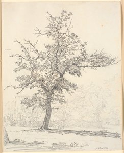 Parte di un giardino da Christen Købke