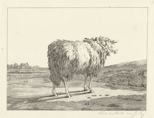 Pecora in un paesaggio da Christiaan Godfried Schutze van Houten