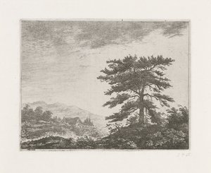 Albero in un paesaggio di brughiera da Christiaan Wilhelmus Moorrees