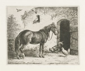 Cavallo con cavezza