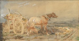 Abbandonato: Paludi del Danubio, prima del 1887 da Christian Adolf Schreyer