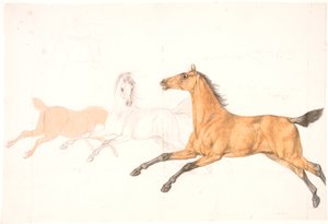 3 cavalli al galoppo da Christian David Gebauer