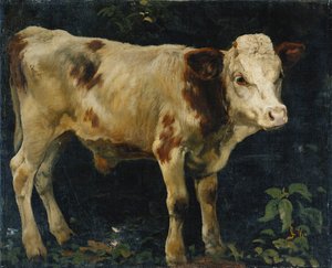 Un Vitello, 1876