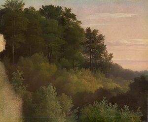 Bordo del bosco. Studio da Christian Ernst Bernhard Morgenstern